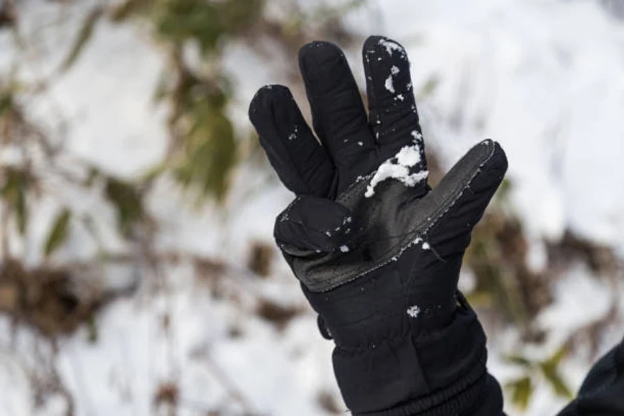 Winter Glove