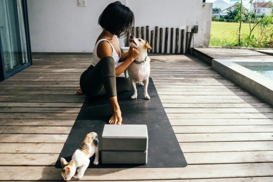Woman Practicing Yoga on the Terrace with Her Cat and Dog