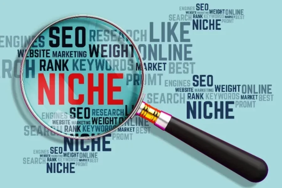 A magnifying glass emphasizing on the word niche