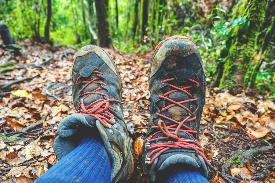 hiking in the jungle