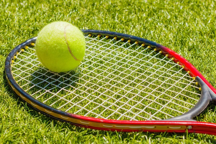 tennis, tennis racket