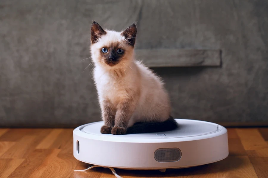A cat on a smart white vacuum cleaner