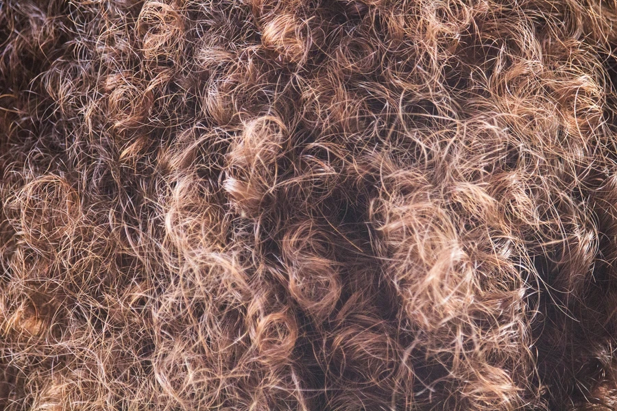 A close-up of dry low-porosity hair