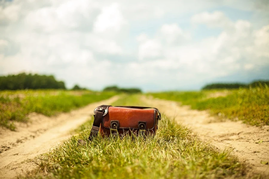 A mini purse in a field
