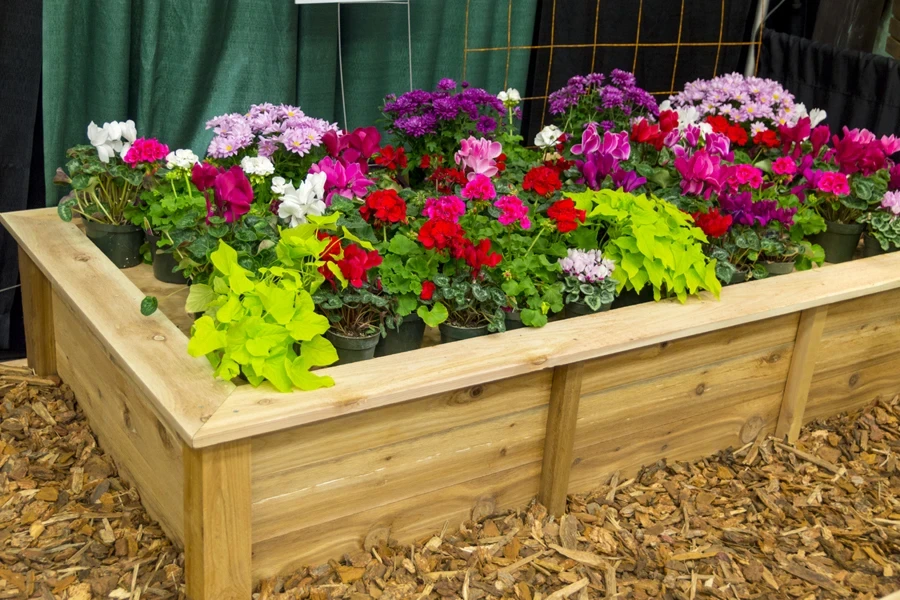 A planter box with multiple colorful flowers