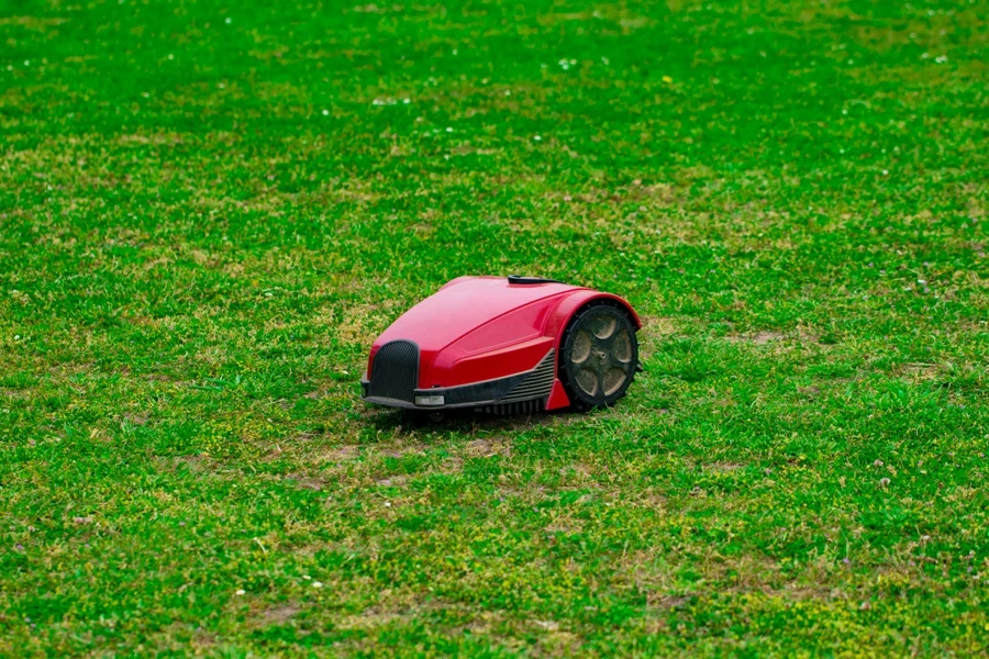 A robot lawnmower on a big lawn