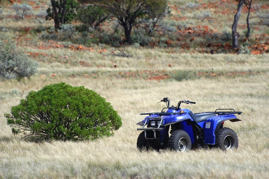 ATV isolated in the bushes