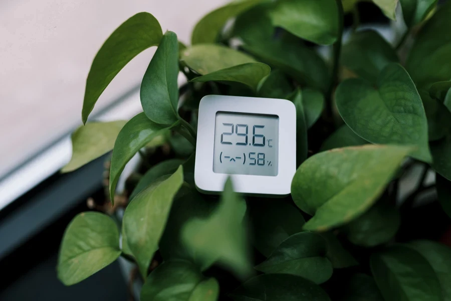 Digital soil moisture meter between leaves inside plant pot