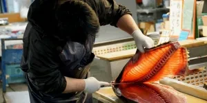 Fishmonger using large fishing knife to cut through raw fish