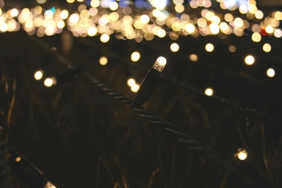 Illuminated string lights in a garden