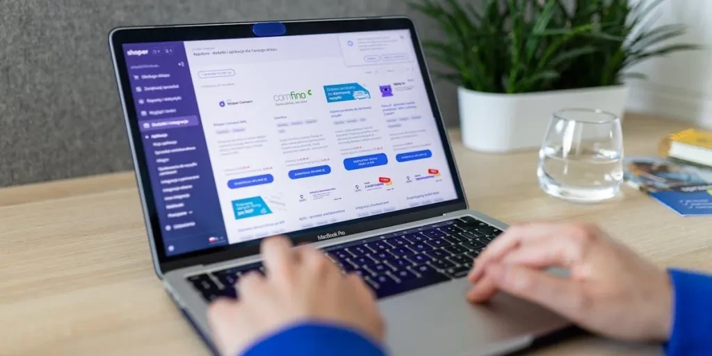 Person navigating an online ecommerce platform