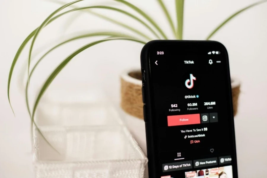 Phone displaying TikTok profile with a link next to potted plant