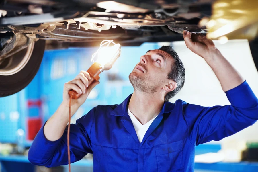 Professional performing a car inspection