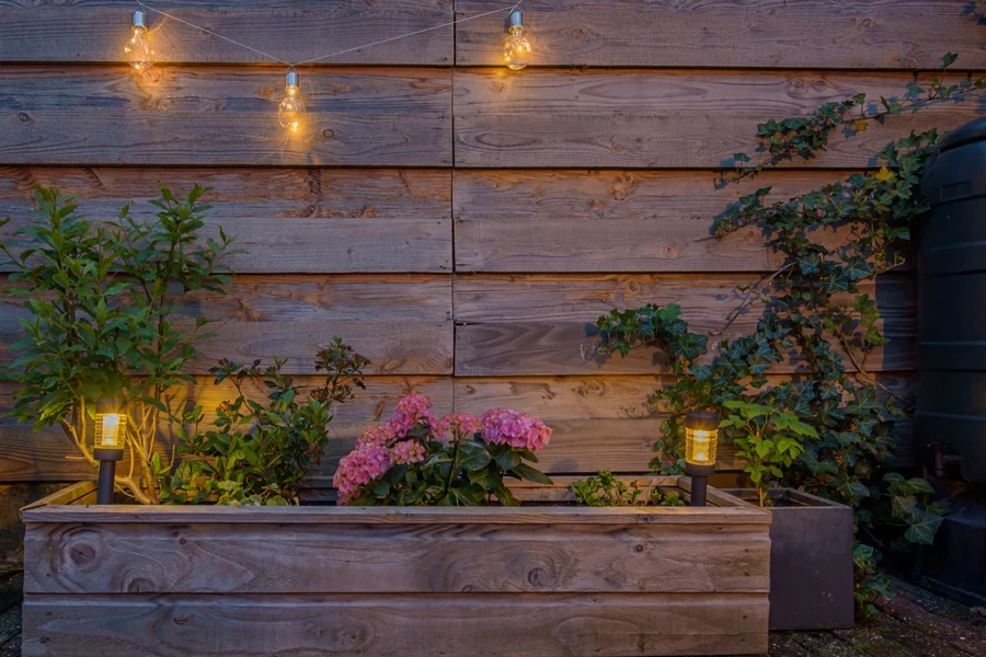 Solar lights hanging against wooden wall in garden