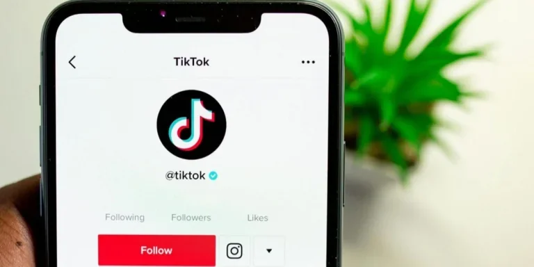 Alguien sostiene un teléfono inteligente que muestra el perfil de TikTok.