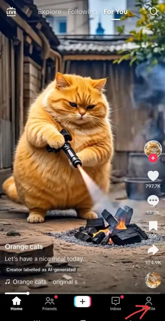 Step-by-step guide to adding a link in TikTok bio
