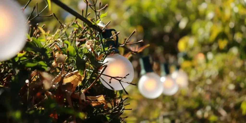 String lights hung up in garden on full charge