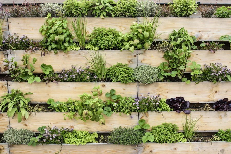 Vertical herb planters made of wood with herb plants inside