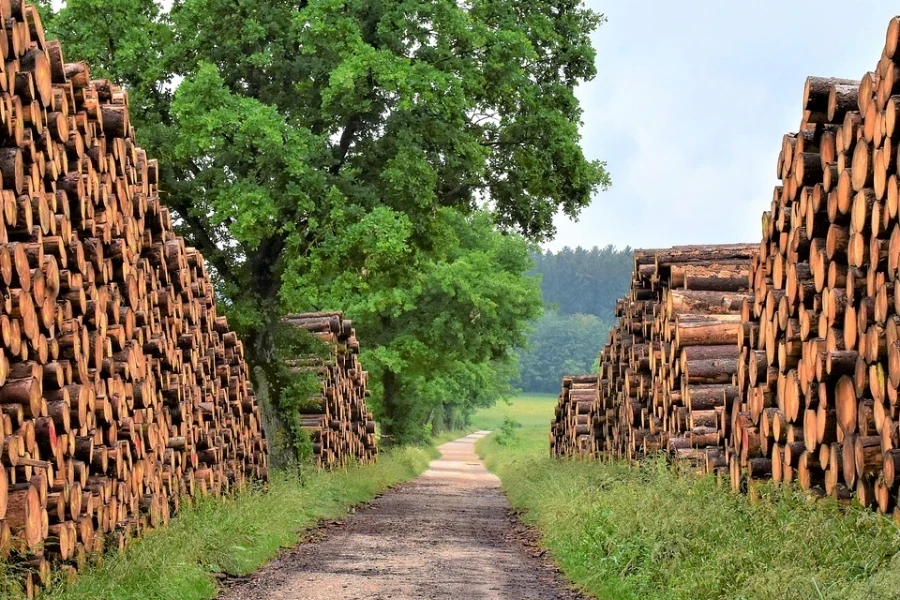 Wooden logs in a field