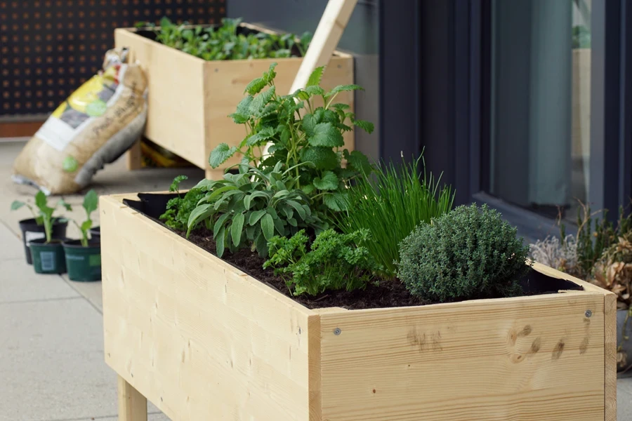 Wooden raised garden bed with herbs planted inside on patio
