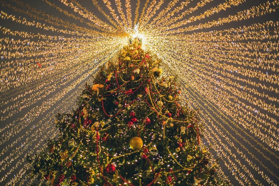 Un deslumbrante árbol de Navidad adornado con luces y adornos, que crea un ambiente festivo y cálido.
