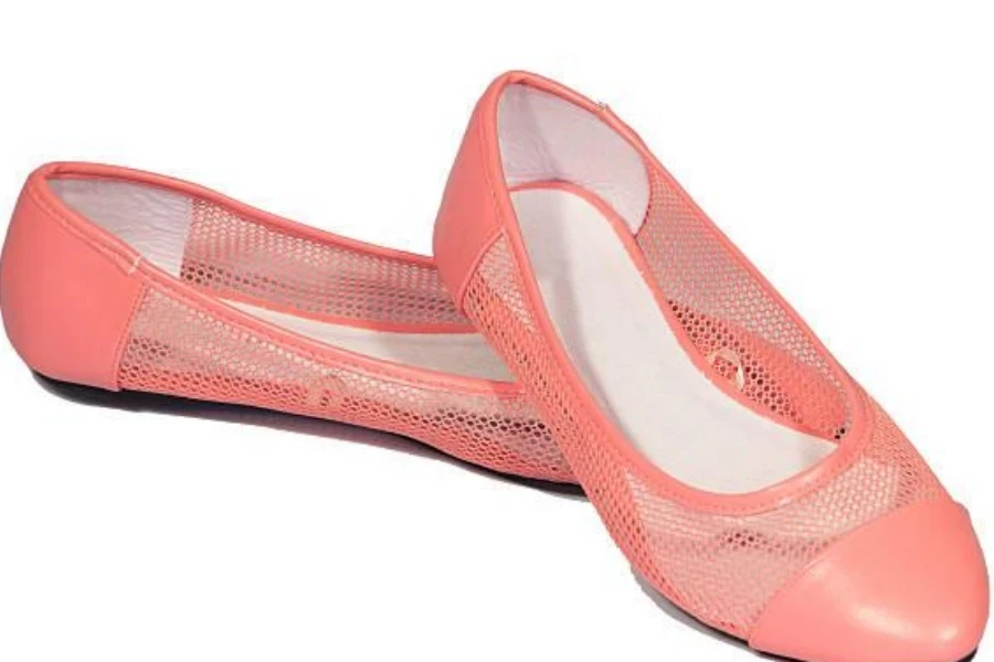 A picture of near-nude mesh ballet shoes