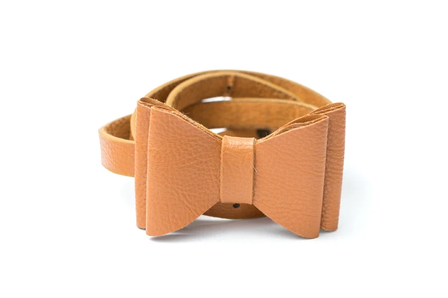Brown bow belt against a white background