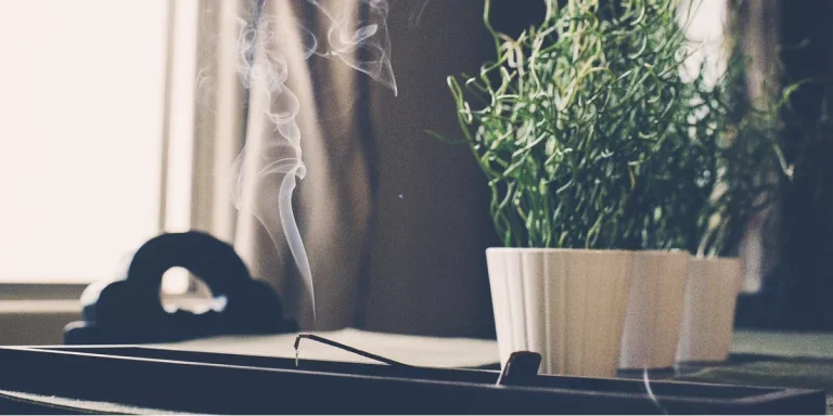 Burning incense in a room with plants