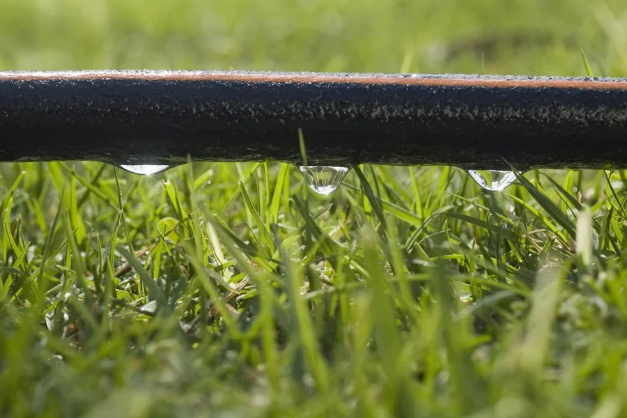 Soaker hoses use water more efficiently than other irrigation systems