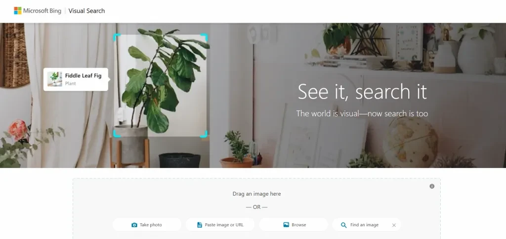 screenshot of Microsoft’s Bing Visual Search