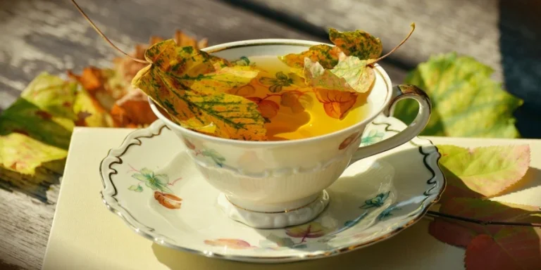 tea, cup, fallen leaves, tea cup, autumn, nature, fall, teacup, autumn colours, fall leaves, tableware, garden, porcelain, teatime