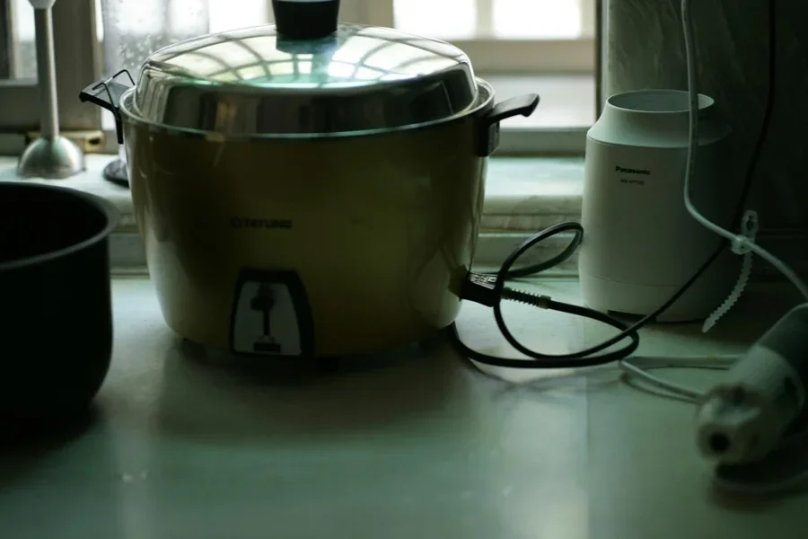 A close-up of an electric cooker