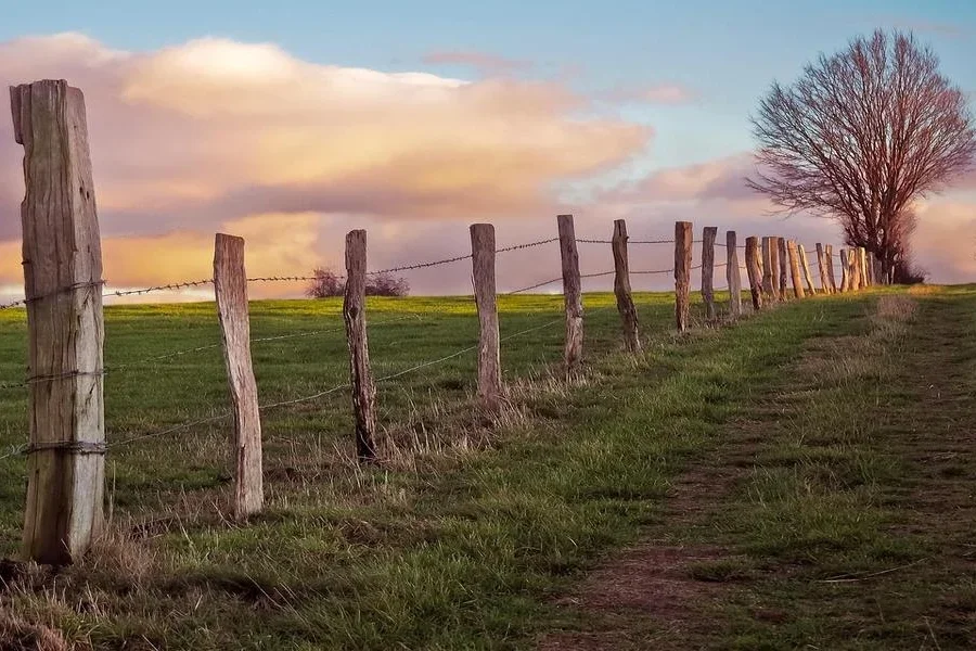A fence with wooden fence posts in a field