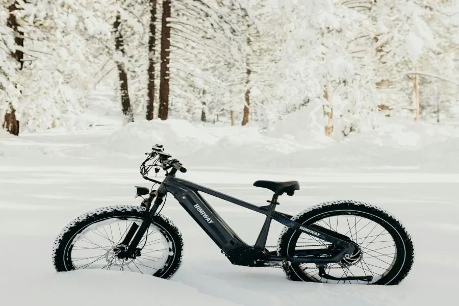 Ein Gelände-Elektrofahrrad ist Schnee in einem Wald