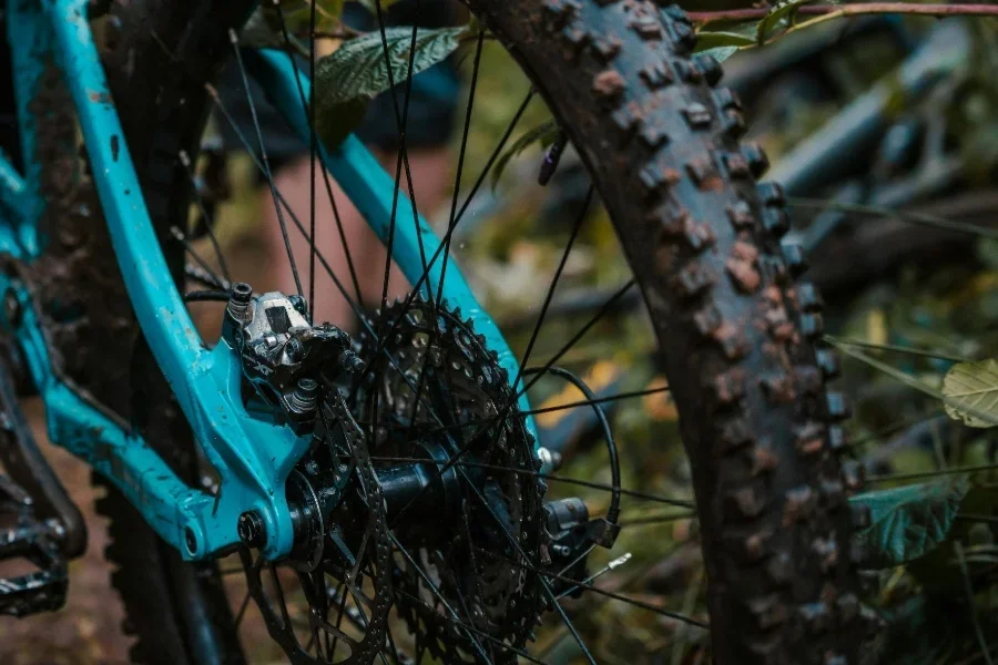 Blue Bicycle Wheel With Tire