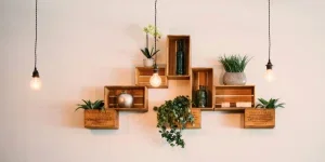 Crates Mounted On Wall