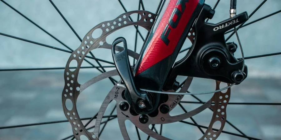 Disc Brake Caliper and Rotor of a Bicycle