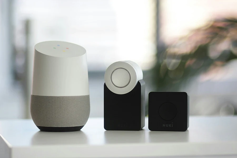 Google Home + Nuki Smart Lock (Smart Home)