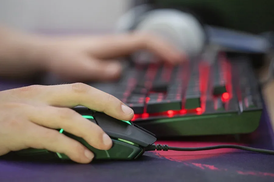 Person playing video games at his computer