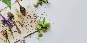 Spoons with dehydrated herbs and spices on a cutting board