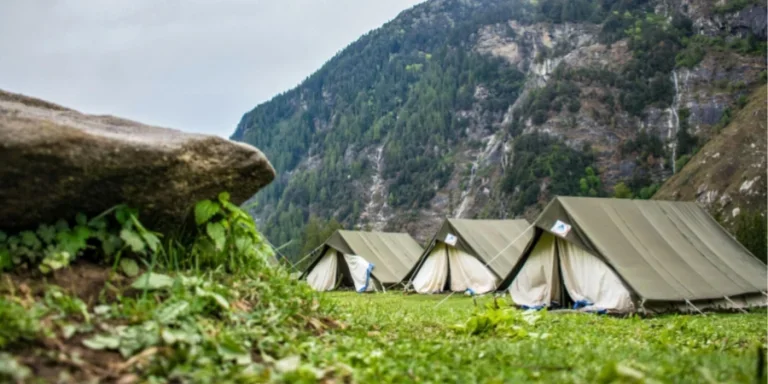 Weiße und braune Zeltlager