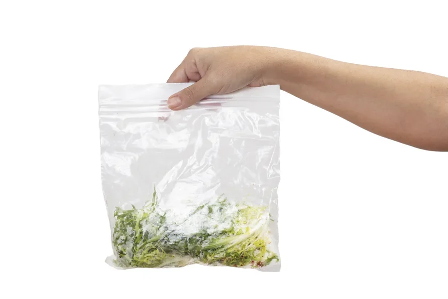 Holding Slices of lettuce in plastic bag