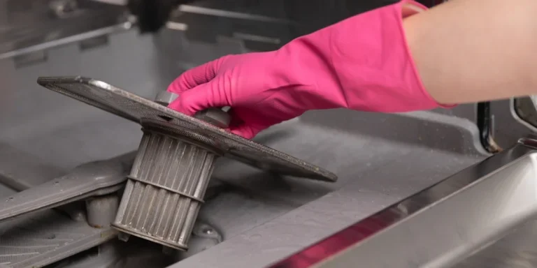 Persona sosteniendo un filtro de lavavajillas sucio