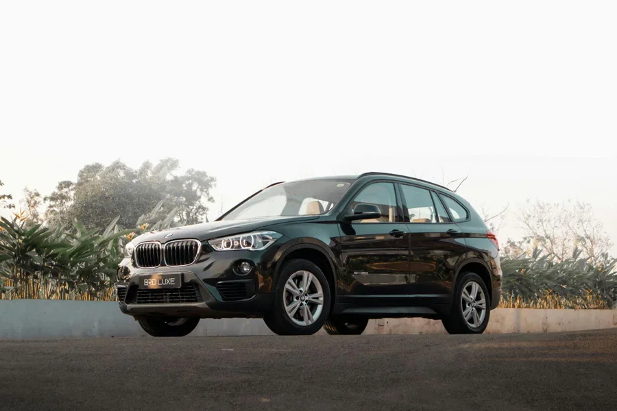 Some BMW X1 key fobs use unique VL2020 batteries