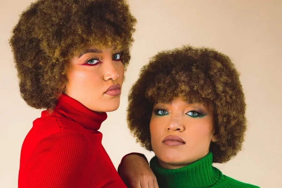 아프로 헤어스타일을 한 두 소녀가 카메라를 향해 포즈를 취하고 있다