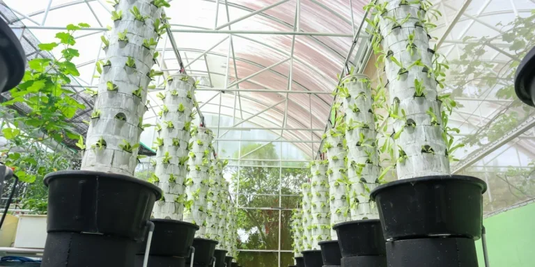 Menara pertanian vertikal di rumah kaca