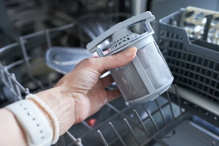 Woman holding a dishwasher filter