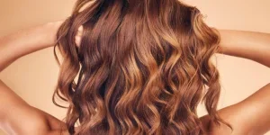 Full Hair Highlights