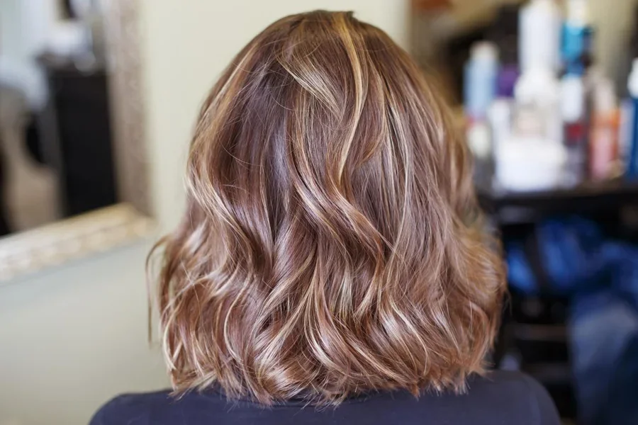 Full Hair Highlights