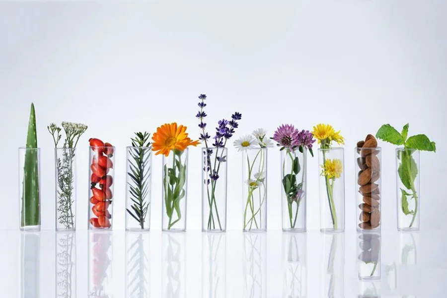 Извлечение стволовых клеток растений